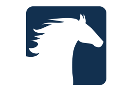 Serie pak jeździeckich Comforstable.com